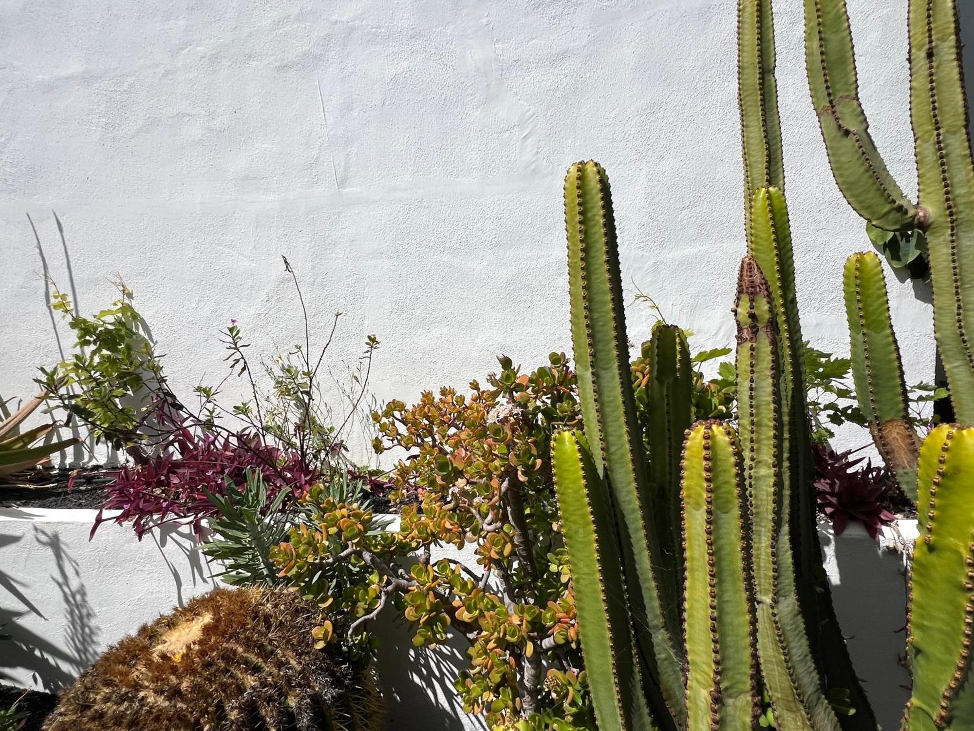 Oasis En Lanzarote Dom wakacyjny