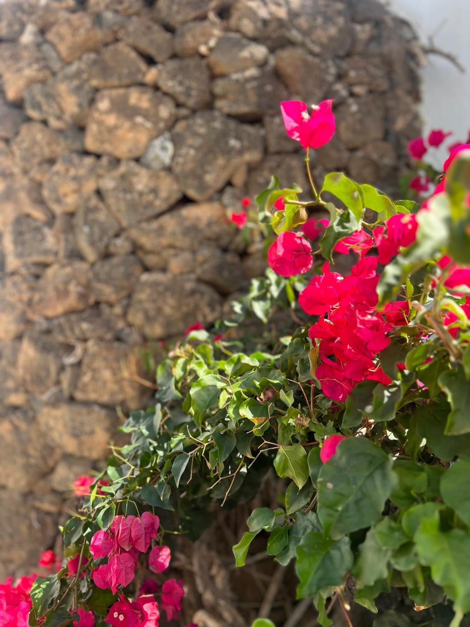 Vakantiehuis Oasis En Lanzarote *